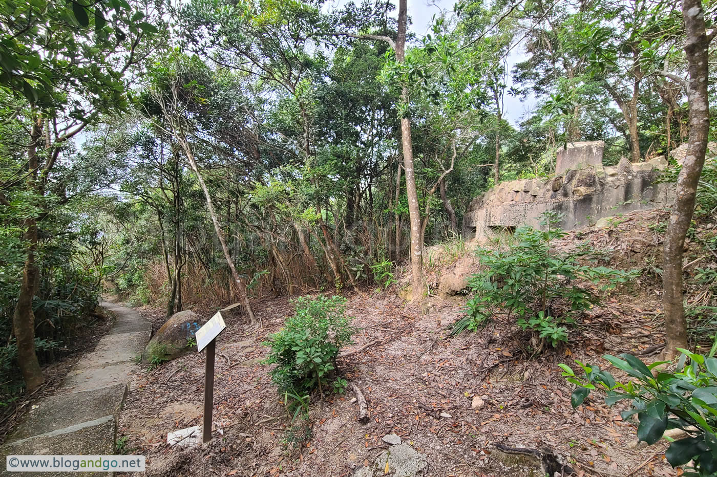 War Time Trail - WNC Gap Station 5 - PB2 Alongside the Trail